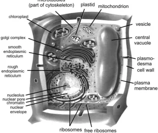 Figure 1.6. 