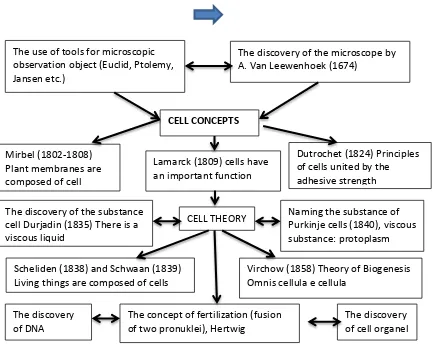 Figure 1.2. Schemes cell development and cell theory 