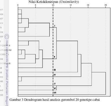 Gambar 3 Dendrogram hasil analisis gerombol 20 genotipe cabai 
