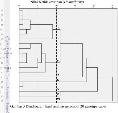 Gambar 3 Dendrogram hasil analisis gerombol 20 genotipe cabai 