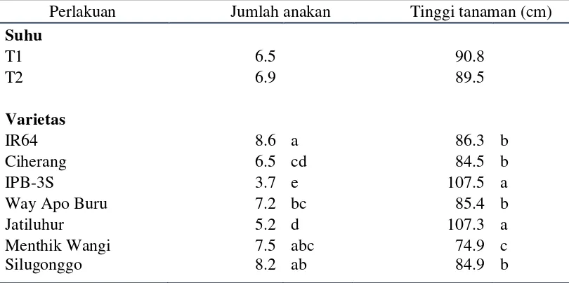 Tabel 1  Pengaruh suhu dan varietas padi terhadap jumlah anakan dan tinggi tanaman pada 8 MST 