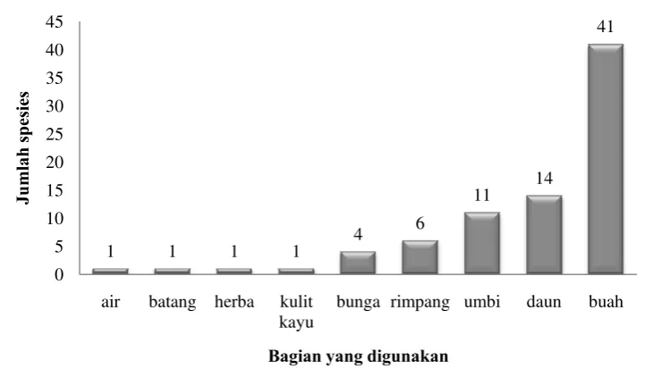Gambar 15  Tumbuhan kol. 