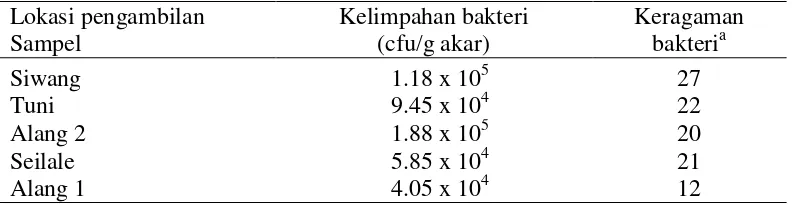 Tabel 1  Kelimpahan dan keragaman bakteri endofit akar asal tanaman pisang      Tongkat Langit  