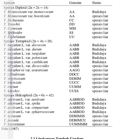 Tabel 2.1 Klasifikasi beberapa spesies Triticum berdasarkan kelas ploidi 