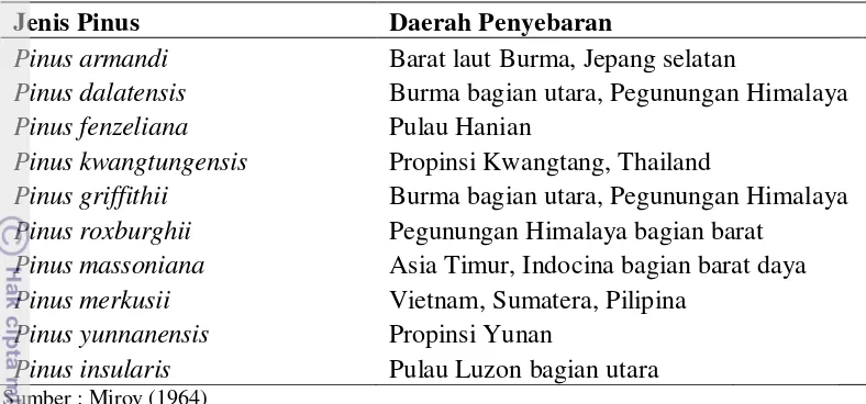 Tabel  1  Jenis Pinus dan daerah penyeberannya di kawasan Asia Tenggara  