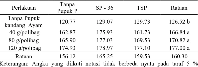 Tabel 8. Rataan Tinggi Tanaman (cm) dengan Perlakuan Pupuk Kandang Ayam dan    Beberapa Sumber P   Tanpa  