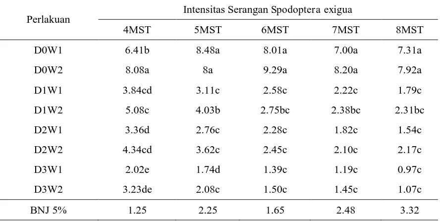 Tabel 1. Rata-Rata Intensitas Serangan S.exigua pada Bawang Merah Lokal Palu, dengan Umur 4,6,7 dan 8 (MST) pada Berbagai Dosis Beauveria bassiana 