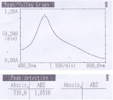 Gambar 4.1 Kurva serapan maksimum larutan DPPH 40 ppm dalam methanol            menggunakan spektrofotometer UV-Visibel  