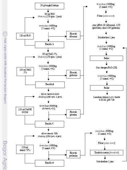 Gambar 5.  Diagram alir fraksinasi protein bungkil kelapa metode non-enzimatis (Adebiyi et al., 2009) 