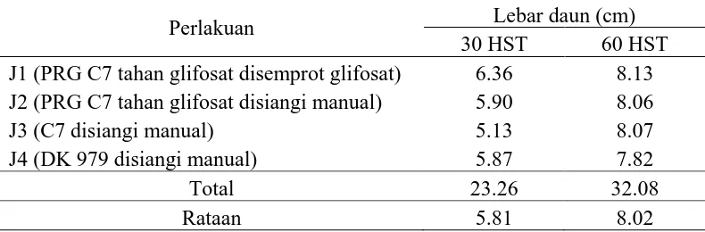 Tabel 5. Lebar daun (cm) pada beberapa genotip dan varietas jagung dengan metode pengendalian gulma umur 30 dan 60 HST 