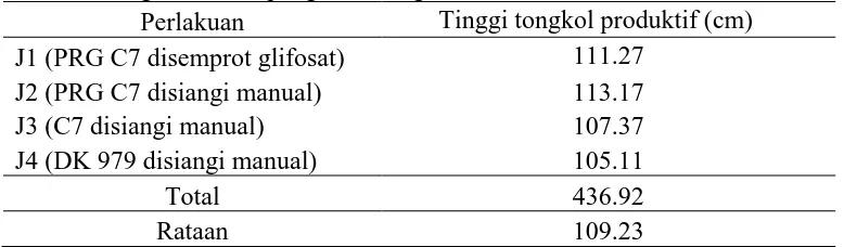 Tabel 7. Tinggi tongkol produktif (cm) pada beberapa genotip dan varietas jagung dengan metode pengendalian gulma  