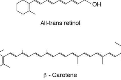 Fig. 3.1 Structures of all-trans-retinol and  b -carotene.