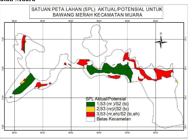 Gambar 6. Satuan Peta Lahan (SPL) Aktual/Potensial Untuk Bawang Merah Kecamatan Muara 