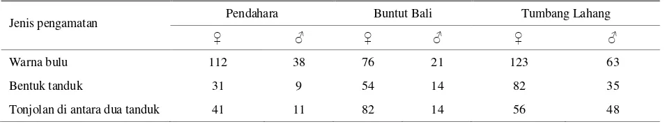 Tabel 1. Distribusi contoh sapi Katingan untuk karakterisasi kualitatif 