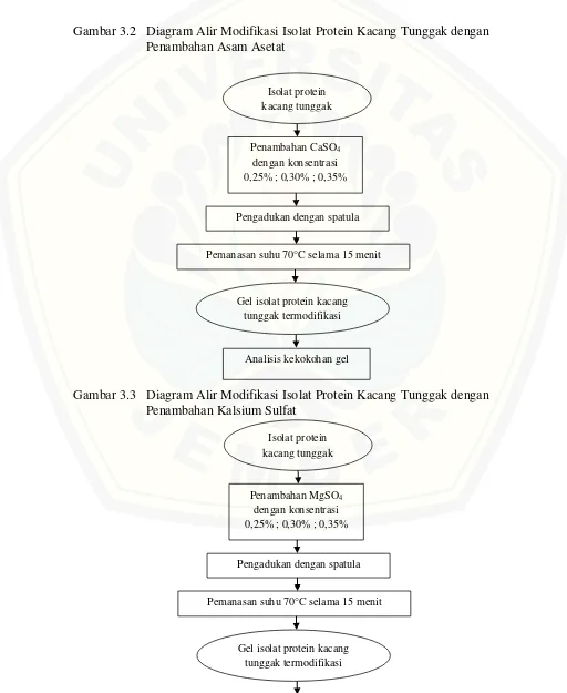 Gambar 3.2   Diagram Alir Modifikasi Isolat Protein Kacang Tunggak dengan 