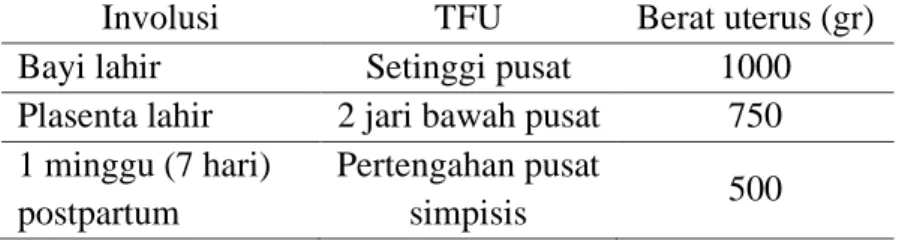 Tabel 4. Perubahan Bentuk Uterus 