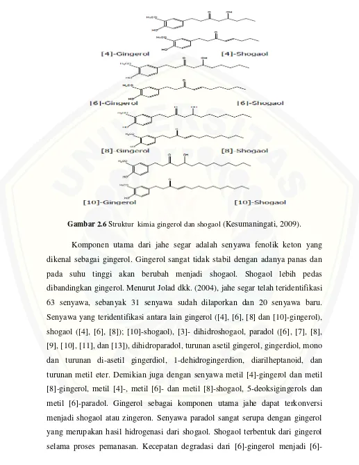 Gambar 2.6 Struktur  kimia gingerol dan shogaol (Kesumaningati, 2009). 