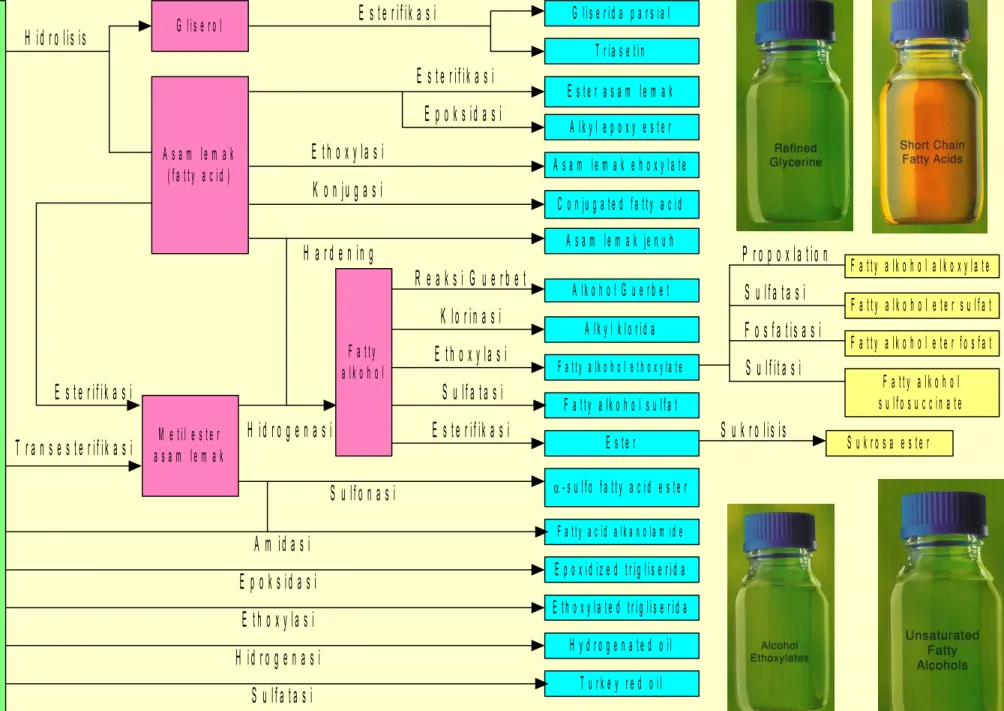 Diagram Oleokimia Dasar dan Turunannya