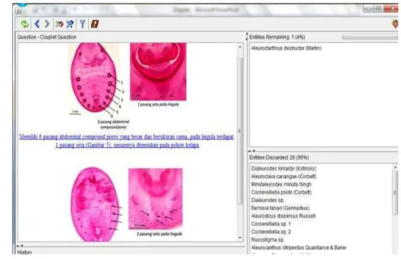 Gambar 3.2  Tampilan kunci identifikasi kutukebul dikotomi dalam format digital  menggunakan program Lucid Phoenix 