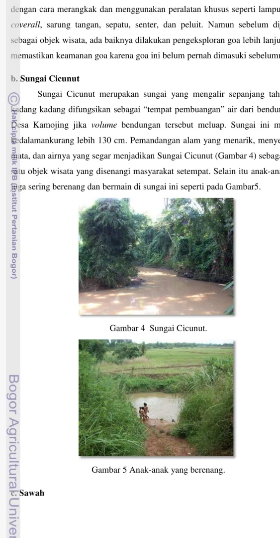Gambar 4  Sungai Cicunut. 
