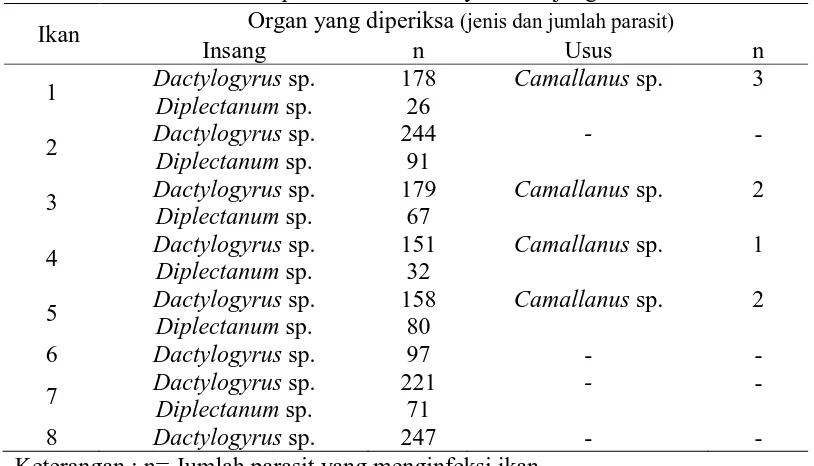 Tabel 4.3. Jenis dan jumlah  cacing parasitik yang ditemukan pada organ insang dan saluran pencernaan (usus) ikan bawal air tawar (C