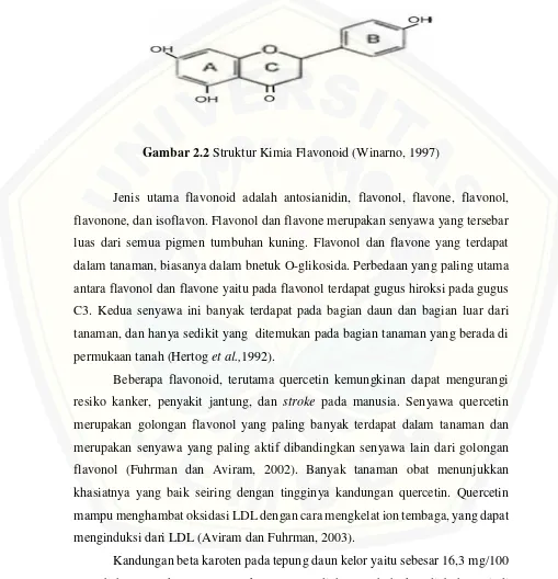 Gambar 2.2 Struktur Kimia Flavonoid (Winarno, 1997) 