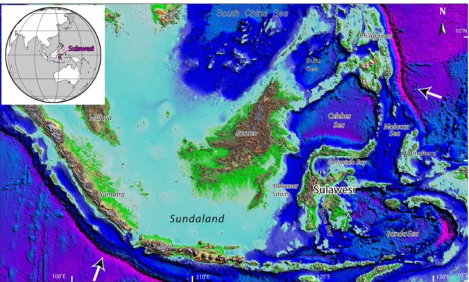Figure 1: Sulawesi Locality Map; major plate motions relative to Sundaland indicated  (modified after Hennig et al., 2017)