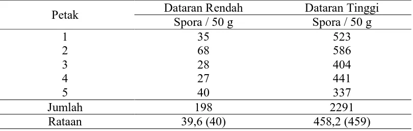 Tabel 4. Kepadatan Spora Atau Jumlah Spora FMA Tiap 50 g Tanah 