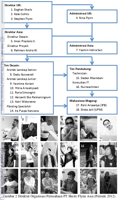 Gambar 2 Struktur Organisasi Perusahaan PT Sheils Flynn Asia (Periode 2012) 
