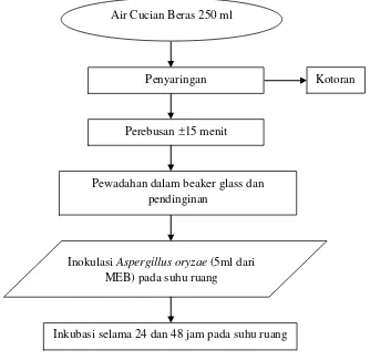 Gambar 3.2 Diagram alir fermentasi air cucian beras dengan A. oryzae 