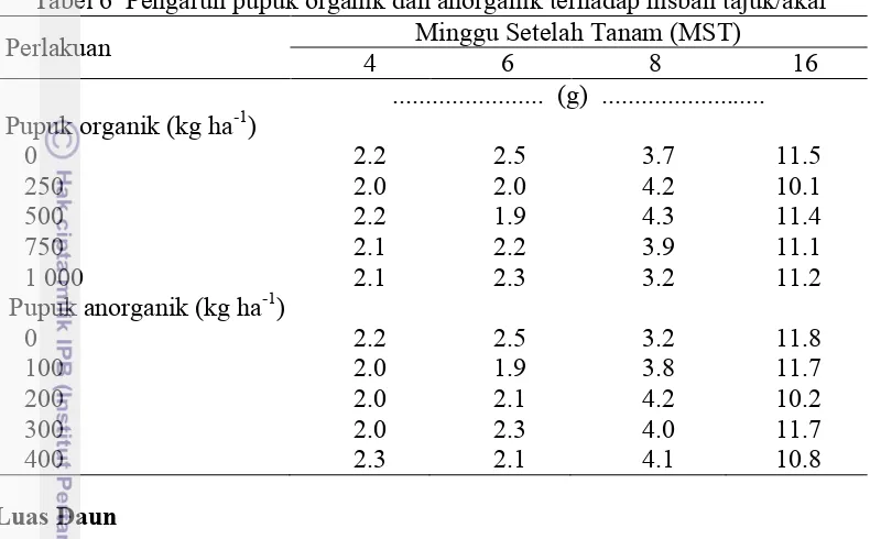 Tabel 6  Pengaruh pupuk organik dan anorganik terhadap nisbah tajuk/akarMinggu Setelah Tanam (MST)