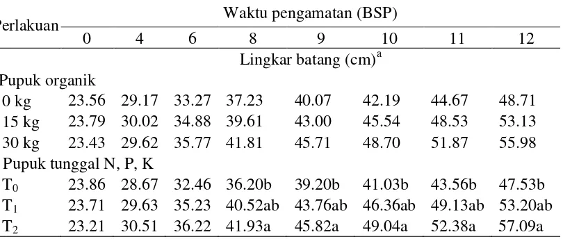 Tabel 5  Pengaruh berbagai dosis pupuk organik dan pupuk tunggal N, P, K terhadap lingkar batang 