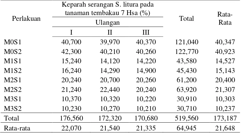 Tabel 9. Keparah serangan S. litura pada tanaman tembakau 7 Hsa (%) 