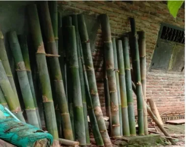 Foto 5. Proses pendiaman bambu untuk bahan baku anyaman bambu 