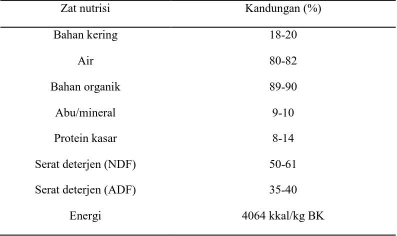 Tabel 5. Kandungan zat nutrisi penting pada rumput ruzi (Brachiaria ruziziensis) 