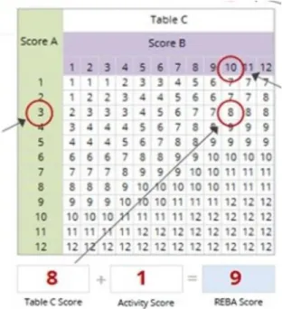 Figure 2.8 Example of REBA Score C and Final Score 