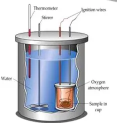 Gambar 2. Bomb Kalorimeter (Menurut ASTM D 88)