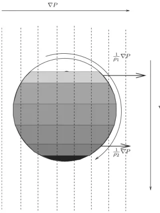 Fig. 3.8 Generation of vorticity by baroclinicity. Density increases towards the bottom of the sphere, thus the pressure force per unit mass (  1 1 r P) is larger than  1 2 r P