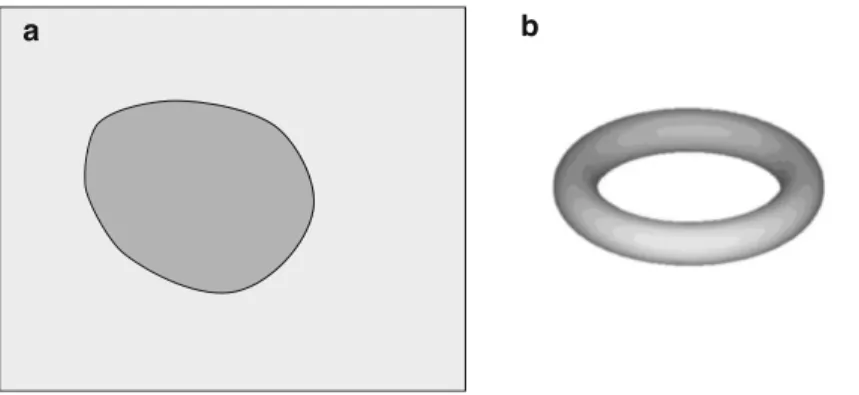 Fig. 3.3 Examples of doubly connected domains: in two-dimensions (a) any obstacle creates a doubly connected region; in three-dimensions a toroid (b) or an obstacle which is infinite in one dimension implies double connectivity