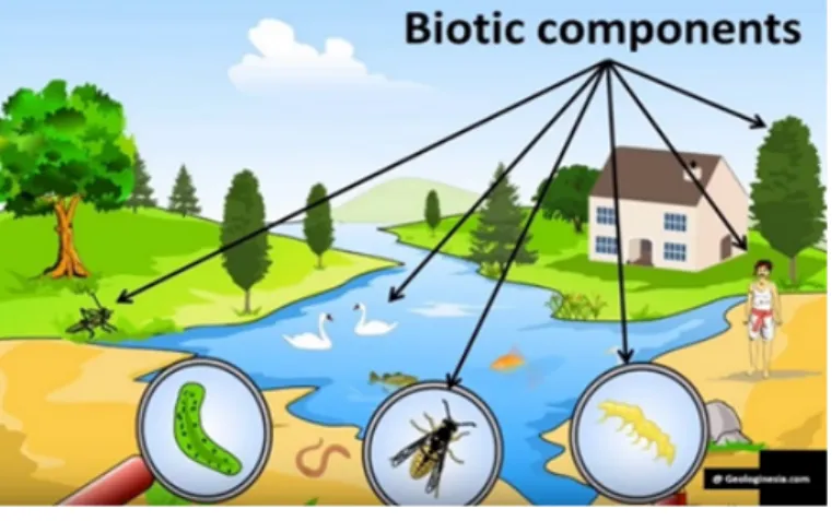 Gambar 4.7: Komponen Biotik (Wn.com, 2014)  