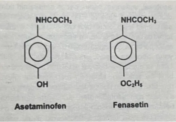 Gambar 2.3 Rumus Bangun Asetaminofen dan Fenasetin 16