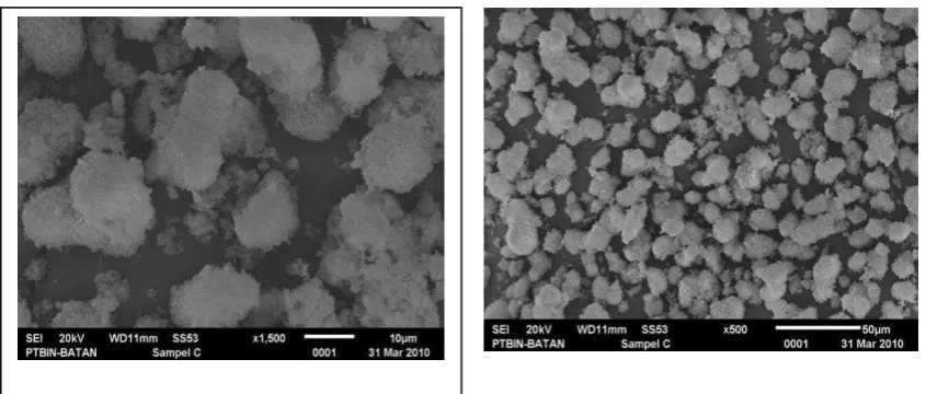 Gambar 9. SEM HAP  kalsinasi 6000C  dan penambahan urea 1 M 