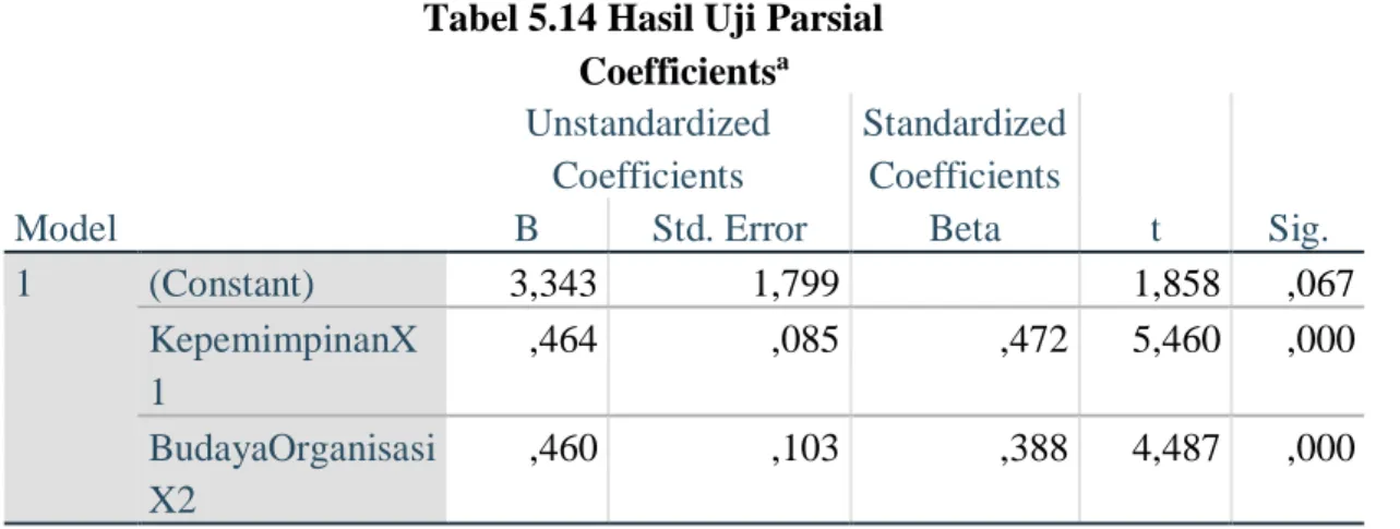 Tabel 5.14 Hasil Uji Parsial  Coefficients a