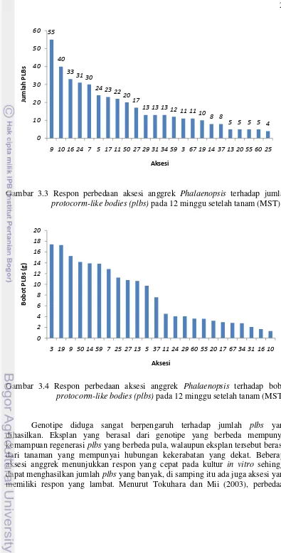 Gambar 3.3 Respon perbedaan aksesi anggrek Phalaenopsis terhadap jumlah 