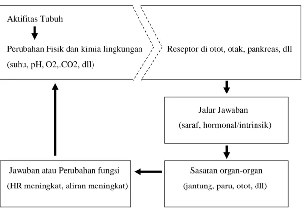 MENENTUKAN INTENSITAS LATIHAN DAN METODE LATIHAN FISIK