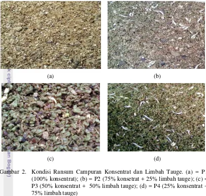 Gambar 2.  Kondisi Ransum Campuran Konsentrat dan Limbah Tauge. (a) = P1 