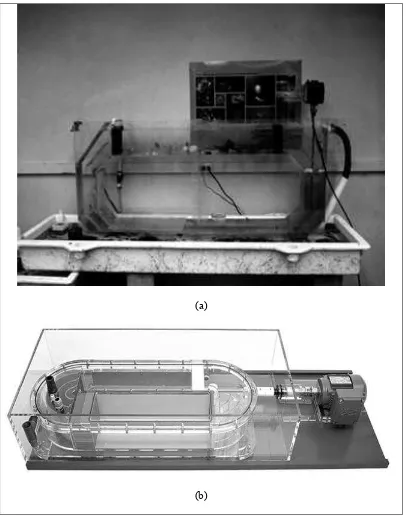 Gambar 4  Bentuk dan jenis flume tank ukuran kecil  < 5 meter 