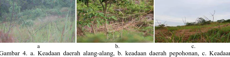 Gambar 4. a. Keadaan daerah alang-alang, b. keadaan daerah pepohonan, c. Keadaan daerah lahan kosong