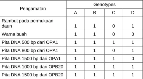 Tabel  5.  Data  biner  4  genotipe  markisa  berdasarkan  pengamatan  morfologi dan molekuler 
