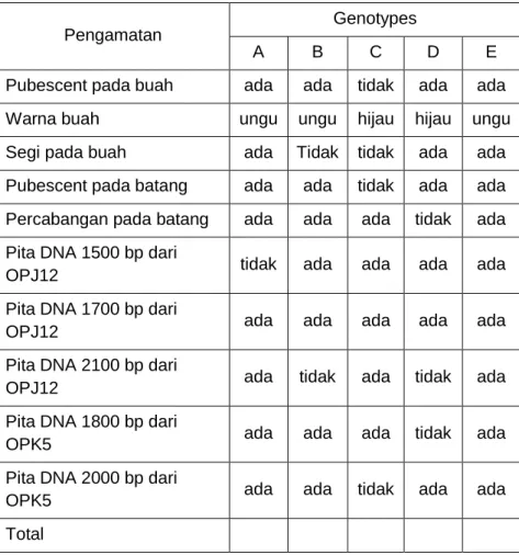 Tabel  6.  Data  5  genotipe  okra  berdasarkan  pengamatan  morfologi  dan molekuler 